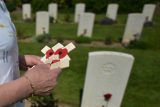 Dřevěné kříže s vlčími máky na britském válečném hřbitově v Normandii