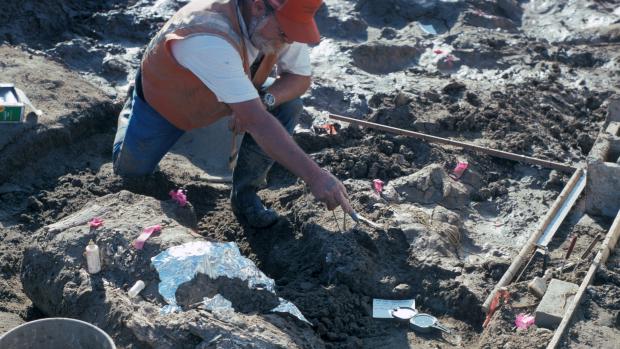 Paleontologové objevili důkazy, že člověk žil na americkém kontinentu dřív, než se myslelo.