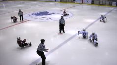 Čeští sledge hokejisté při vítězném zápase s Norskem