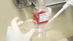 Centrum asistované reprodukce v ÚPMD