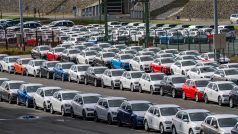 Automobily Volkswagen připravené na export v německém městě Emden