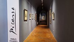 Výstava Picasso Life potrvá až do příštího roku