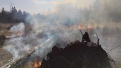 Hasiči zasahují u požáru lesa v lokalitě Hutě, místní části obci Cejle na Jihlavsku