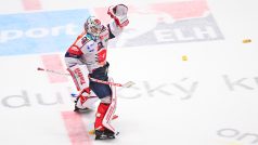 Brankář Pardubic Roman Will