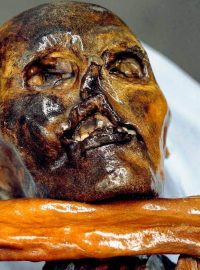 Ötzi, muž z ledovce