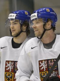 Mistrovství světa v ledním hokeji, skupina B, trénink českých hráčů 8. května ve Stockholmu. Tréninku se zúčastnili z hlavního kádru Milan Michálek (vpravo) a Michael Frolík.
