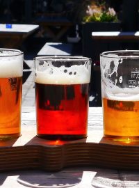 pivo