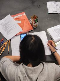 Student (ilustrační foto)