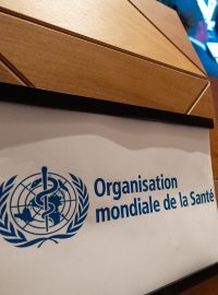 WHO během 77. světového zdravotnického shromáždění Světové zdravotnické organizace (WHO) v sídle OSN v Ženevě, Švýcarsko, 27. května 2024