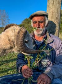 Pastýř ze severu Turecka