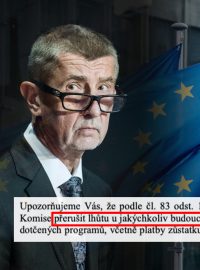 Andrej Babiš (ANO) dlouhodobě střet zájmů popírá. „Agrofert neovládám ani neřídím. Proto dlouhodobě a opakovaně tvrdím, že střet zájmů nemám a kvůli údajnému střetu zájmů nebude Česká republika vracet žádné peníze,“ reagoval