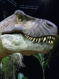 Portál dziennik.pl připomíná, že dinosauři vyhynuli asi před 66 miliony let. První lidé se v Africe objevili zřejmě teprve před 200 000 lety.